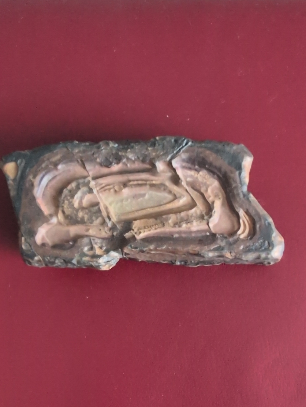 Stromatolite Fossil